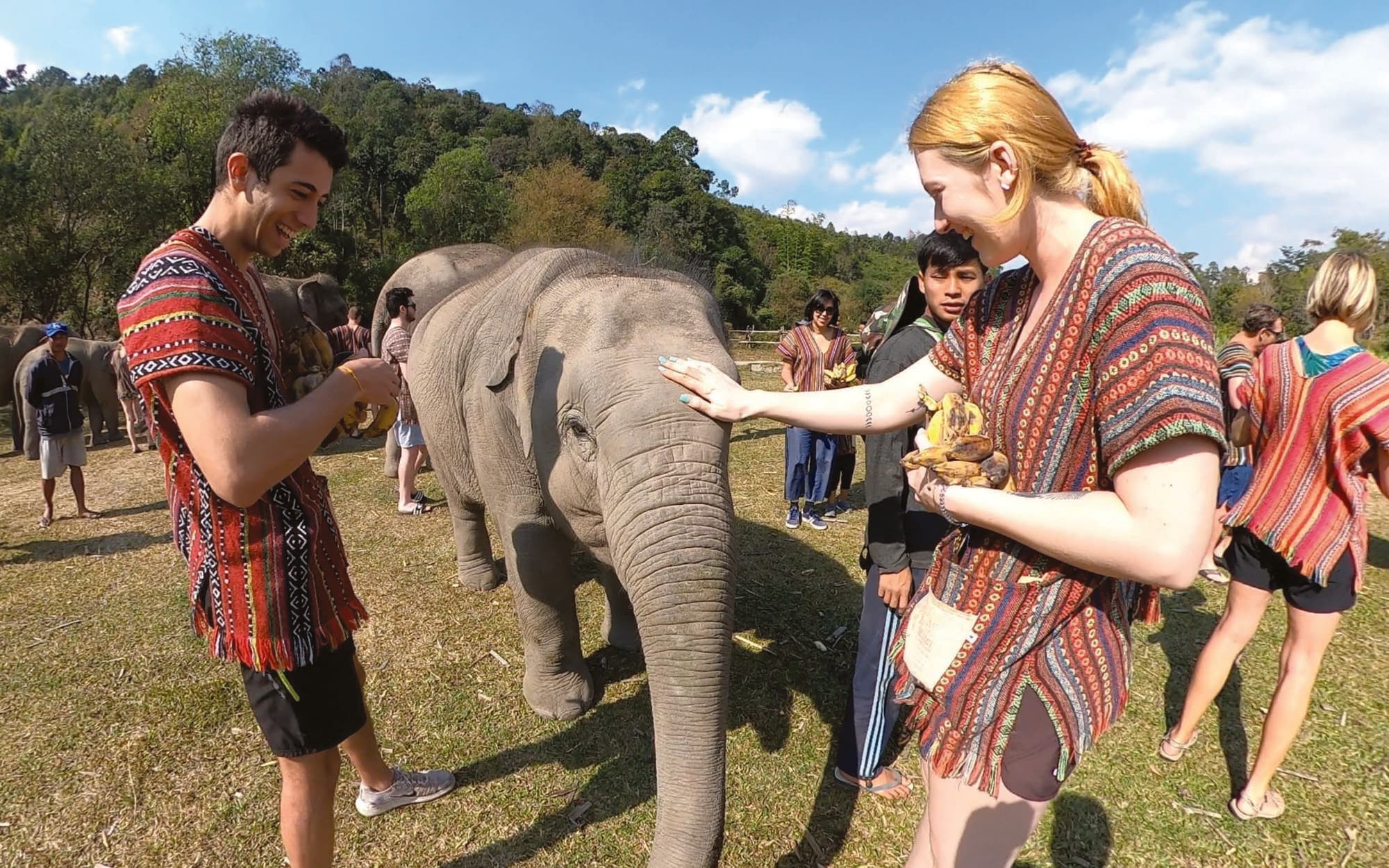 Smiling guests in Karen shirts meeting an elephant in a meadow
