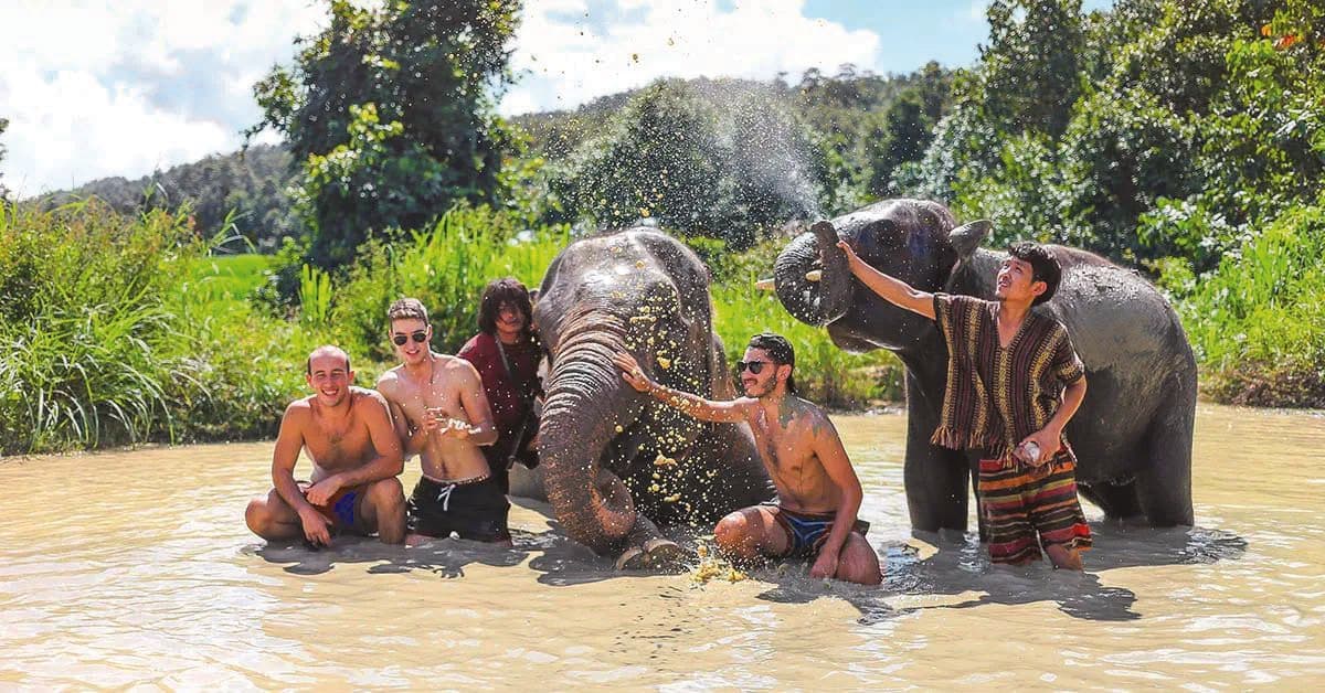 Guests bathing with elephants in a shallow river
