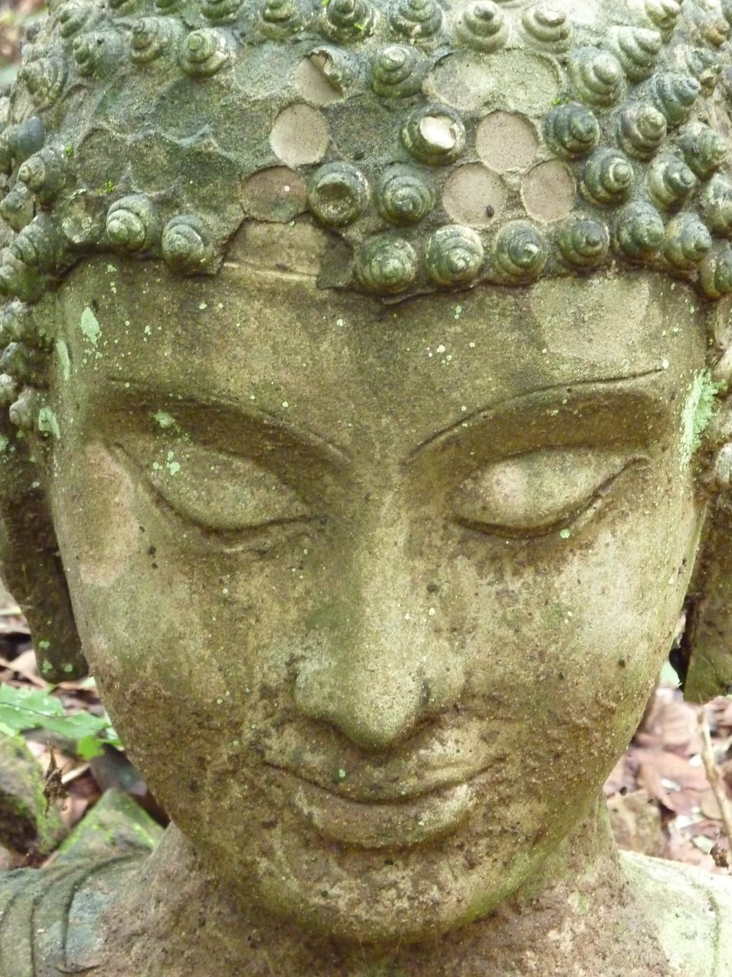 Serene moss-covered Buddha head in the forest garden of Wat Umong