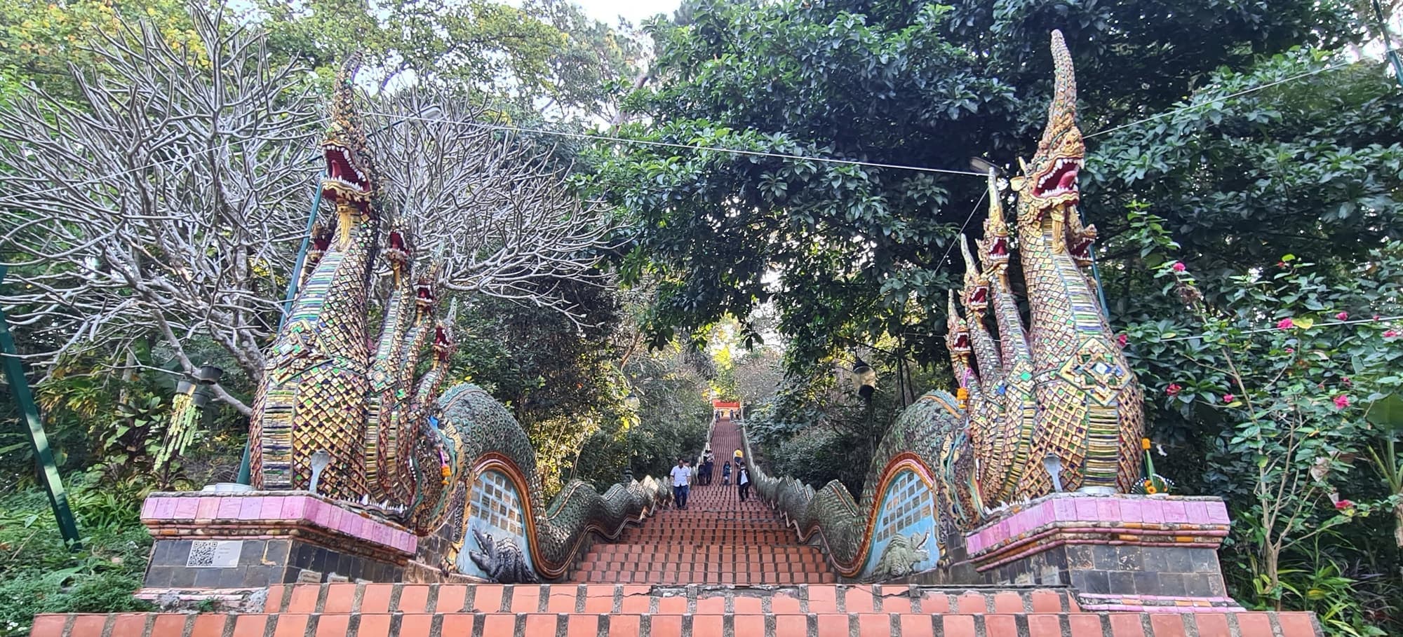 The Naga serpent staircase leading up to Doi Suthep temple