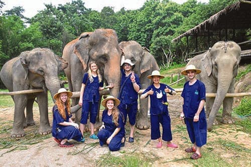 A group of guests in blue uniforms posing with elephants