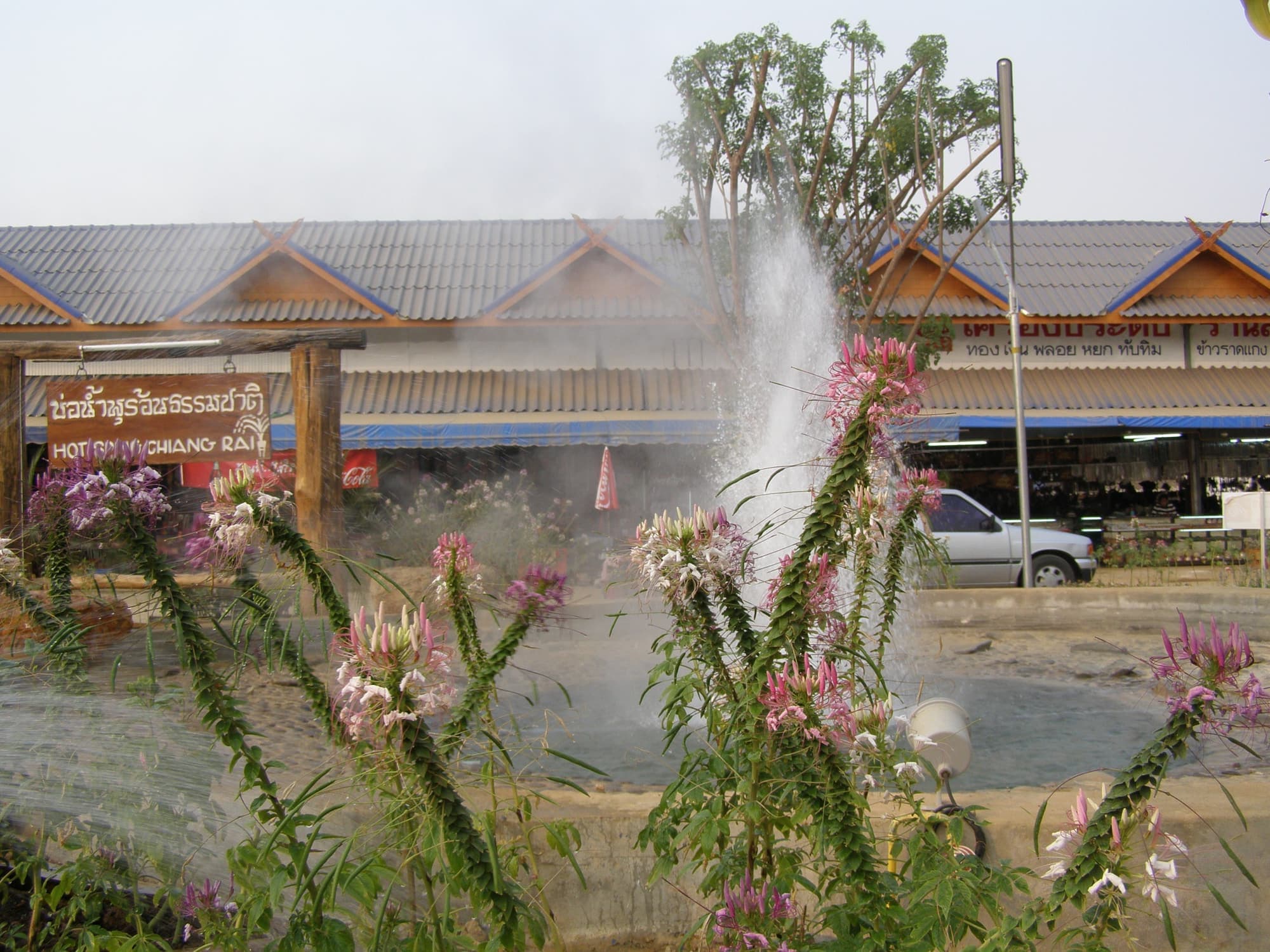 Steaming natural hot spring geyser on the road to Chiang Rai