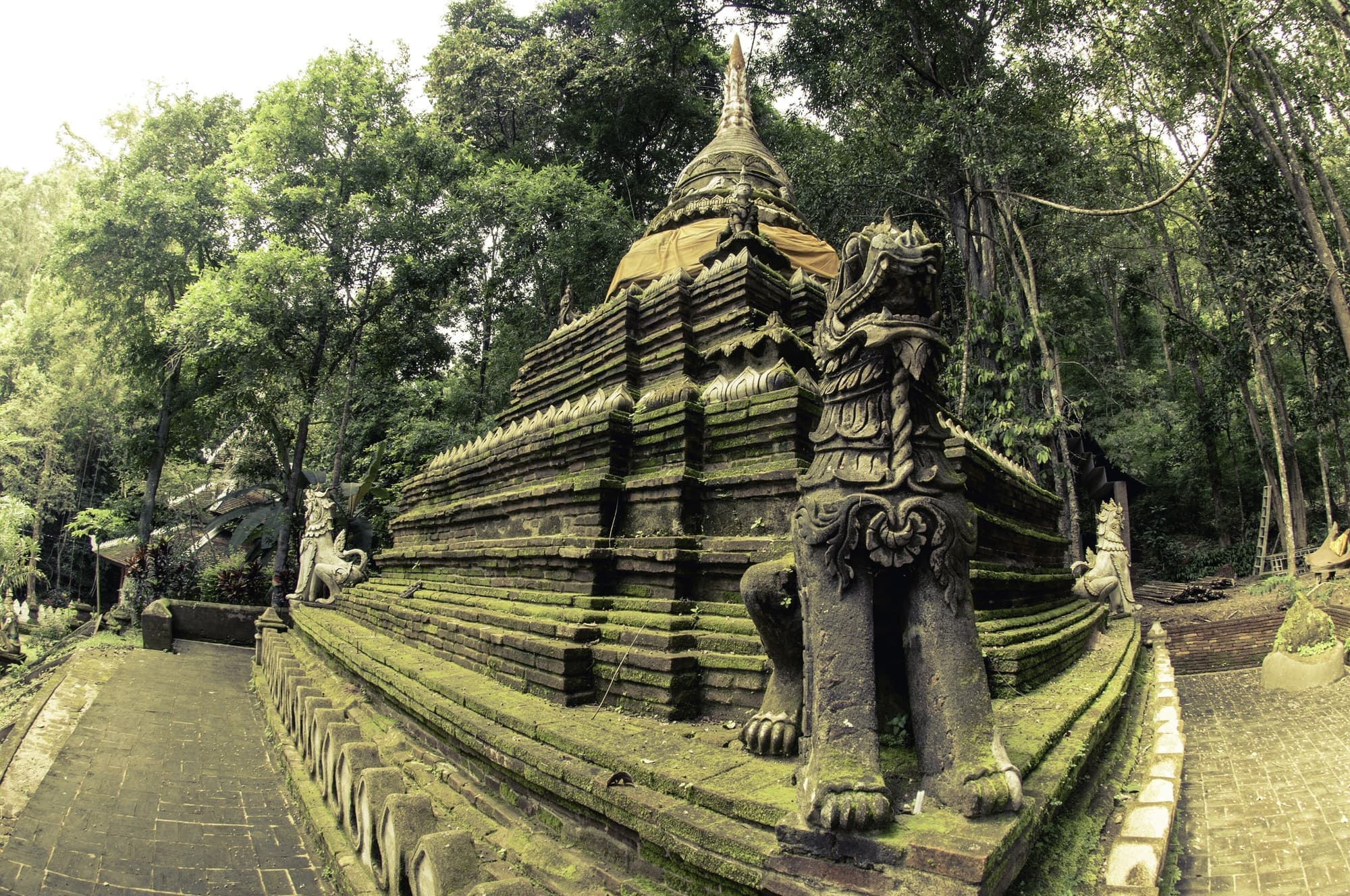 Moss-covered brick chedi in the forest at Wat Pha Lat